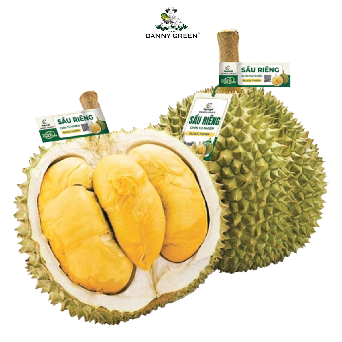 Sầu Riêng BlackThorn DannyGreen