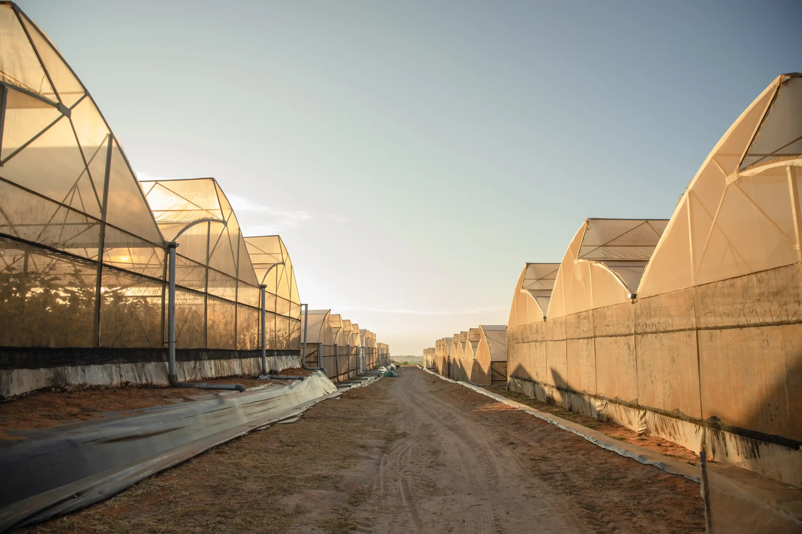 DannyGreen Organic Farm Son Hai - Ninh Thuan