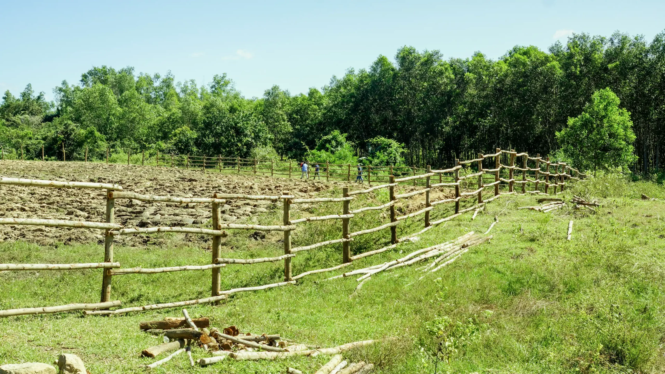 DannyGreen Don Duong Forest Farm - Lam Dong