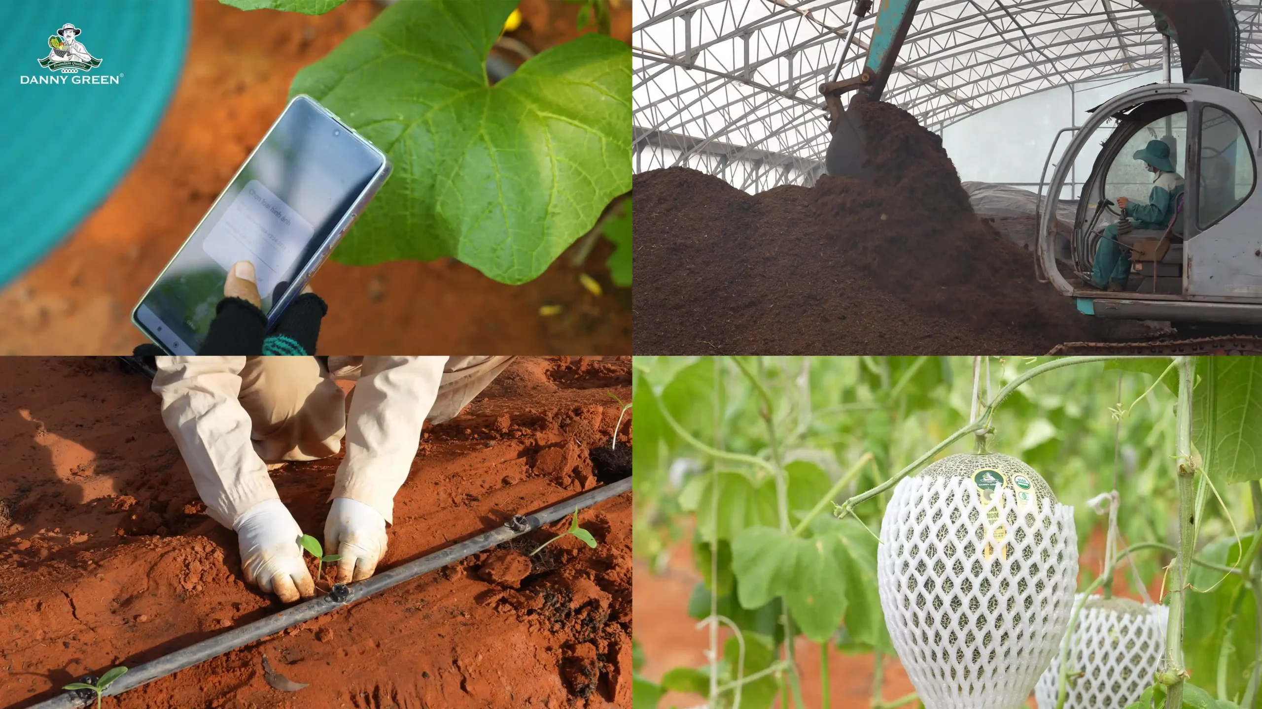 High-tech organic farming at DannyGreen organic farm